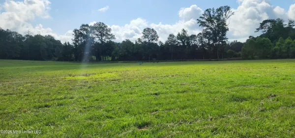 $450,000 | 3350 Mt Pleasant Lane Southeast, Bogue Chitto, MS 39629