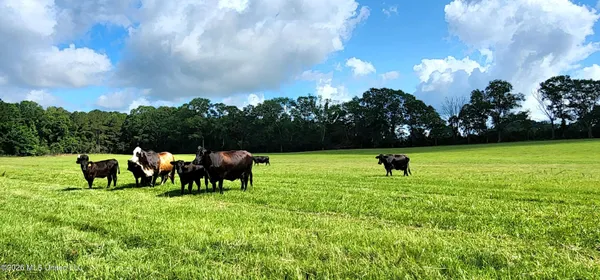 $450,000 | 3350 Mt Pleasant Lane Southeast, Bogue Chitto, MS 39629