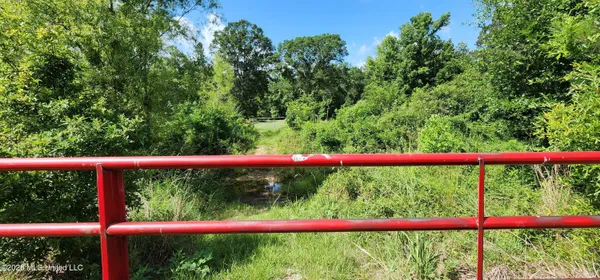 $450,000 | 3350 Mt Pleasant Lane Southeast, Bogue Chitto, MS 39629