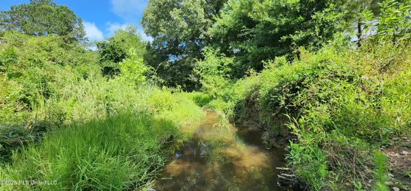 $450,000 | 3350 Mt Pleasant Lane Southeast, Bogue Chitto, MS 39629