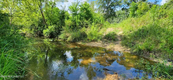 $450,000 | 3350 Mt Pleasant Lane Southeast, Bogue Chitto, MS 39629