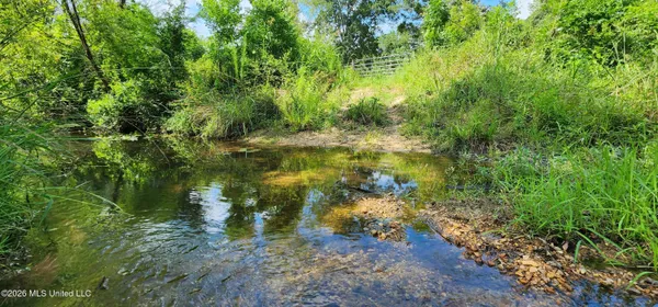 $450,000 | 3350 Mt Pleasant Lane Southeast, Bogue Chitto, MS 39629