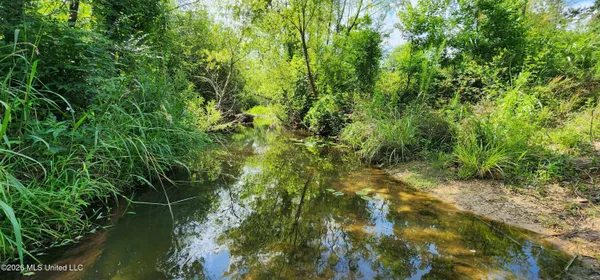 $450,000 | 3350 Mt Pleasant Lane Southeast, Bogue Chitto, MS 39629