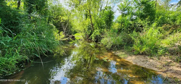 $450,000 | 3350 Mt Pleasant Lane Southeast, Bogue Chitto, MS 39629