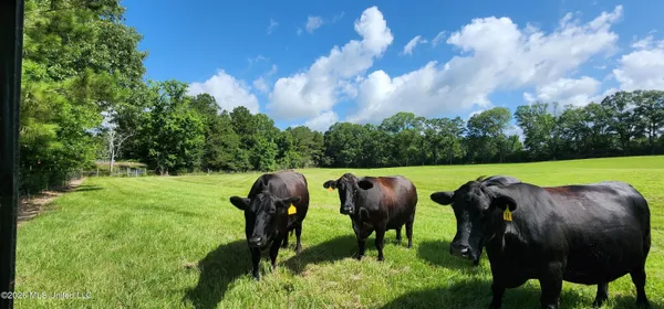 $450,000 | 3350 Mt Pleasant Lane Southeast, Bogue Chitto, MS 39629