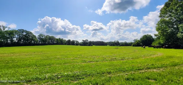 $450,000 | 3350 Mt Pleasant Lane Southeast, Bogue Chitto, MS 39629