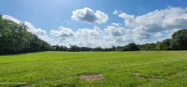 $450,000 | 3350 Mt Pleasant Lane Southeast, Bogue Chitto, MS 39629