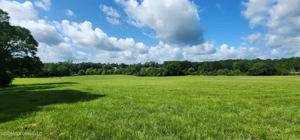 $450,000 | 3350 Mt Pleasant Lane Southeast, Bogue Chitto, MS 39629