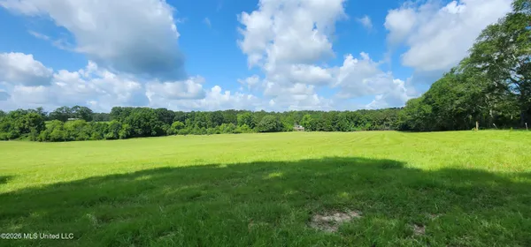 $450,000 | 3350 Mt Pleasant Lane Southeast, Bogue Chitto, MS 39629