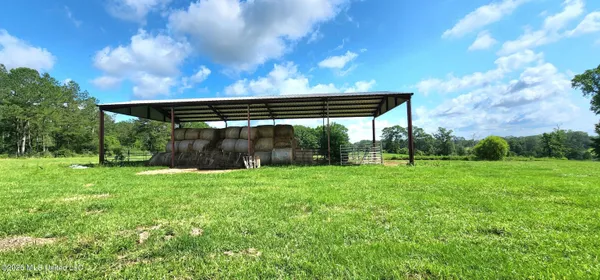 $450,000 | 3350 Mt Pleasant Lane Southeast, Bogue Chitto, MS 39629