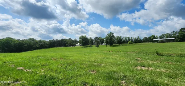 $450,000 | 3350 Mt Pleasant Lane Southeast, Bogue Chitto, MS 39629