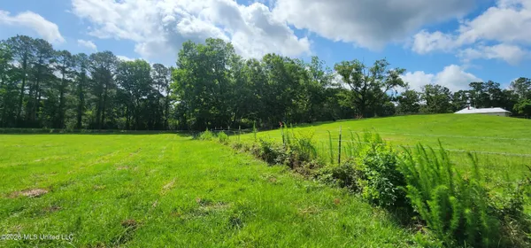 $450,000 | 3350 Mt Pleasant Lane Southeast, Bogue Chitto, MS 39629