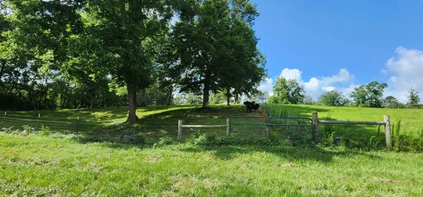 $450,000 | 3350 Mt Pleasant Lane Southeast, Bogue Chitto, MS 39629