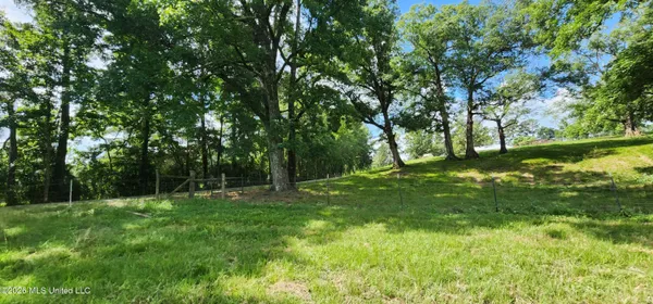 $450,000 | 3350 Mt Pleasant Lane Southeast, Bogue Chitto, MS 39629