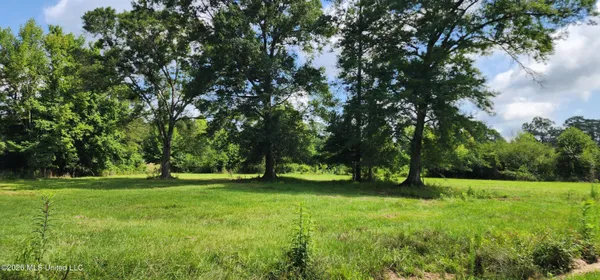$450,000 | 3350 Mt Pleasant Lane Southeast, Bogue Chitto, MS 39629