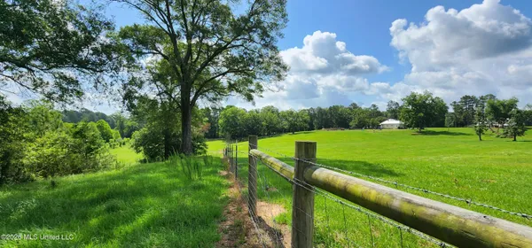 $450,000 | 3350 Mt Pleasant Lane Southeast, Bogue Chitto, MS 39629