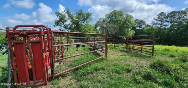 $450,000 | 3350 Mt Pleasant Lane Southeast, Bogue Chitto, MS 39629