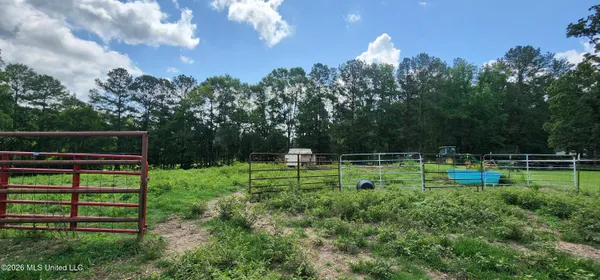 $450,000 | 3350 Mt Pleasant Lane Southeast, Bogue Chitto, MS 39629