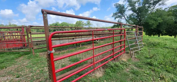 $450,000 | 3350 Mt Pleasant Lane Southeast, Bogue Chitto, MS 39629