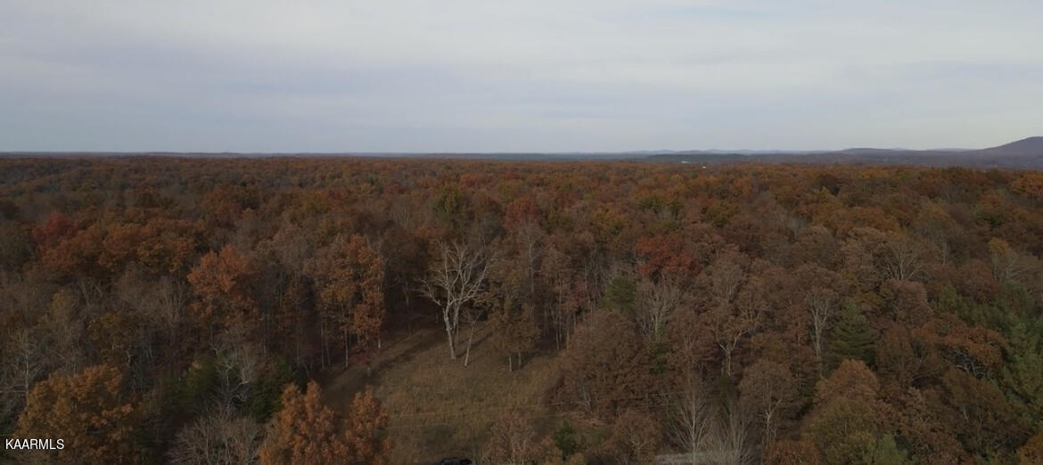 Cumberland Crossing Sunbright, TN 37872 - Photo 3 of 9 Lot23 Aerial