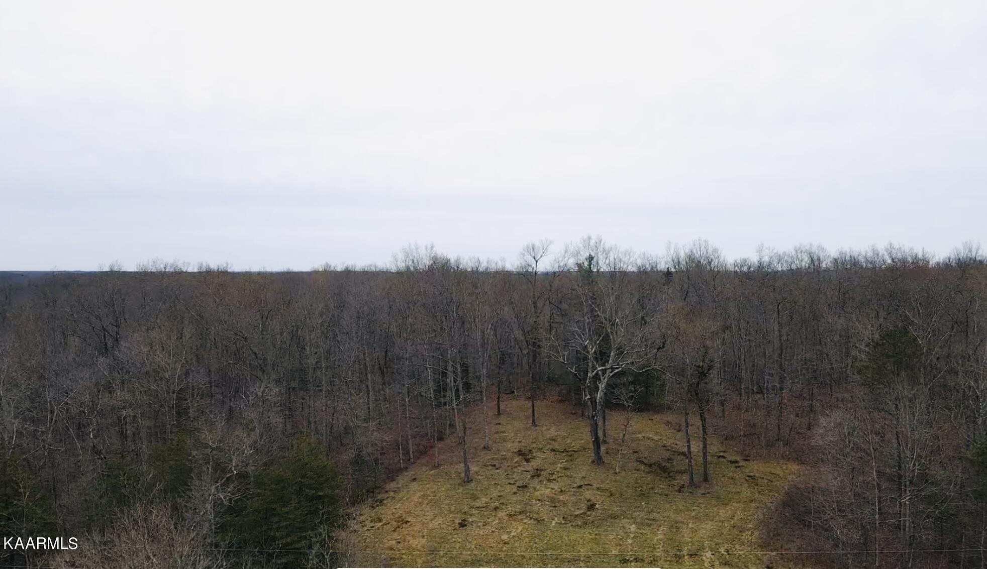 Cumberland Crossing Sunbright, TN 37872 - Photo 7 of 9 C9BD42E4-F08F-4035-877C-5271CD03723B