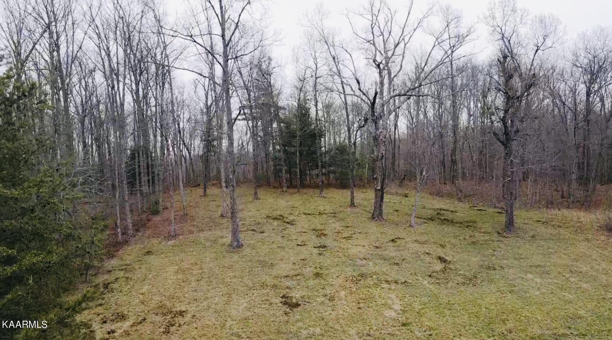 Cumberland Crossing Sunbright, TN 37872 - Photo 8 of 9 9BA36489-6B11-46A3-B7A6-453A90895156