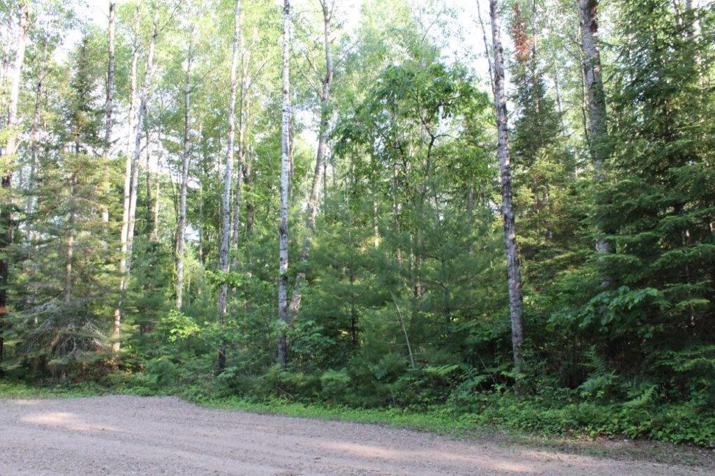 On Burnt Bridge Road, Unit LOT 5 St. Germain, WI 54558 - Photo 10 of 14 Gallery Image 10