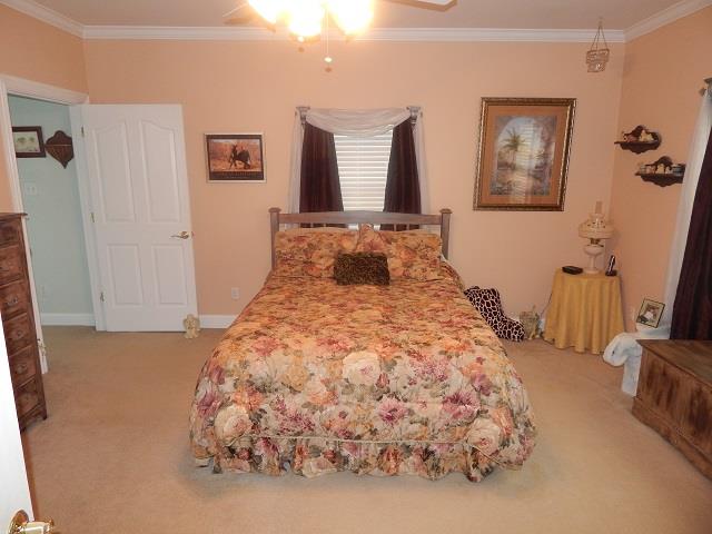 1249 Northwest Rutland Road Mount Juliet, TN 37122 - Photo 10 of 19 Gallery Image 10