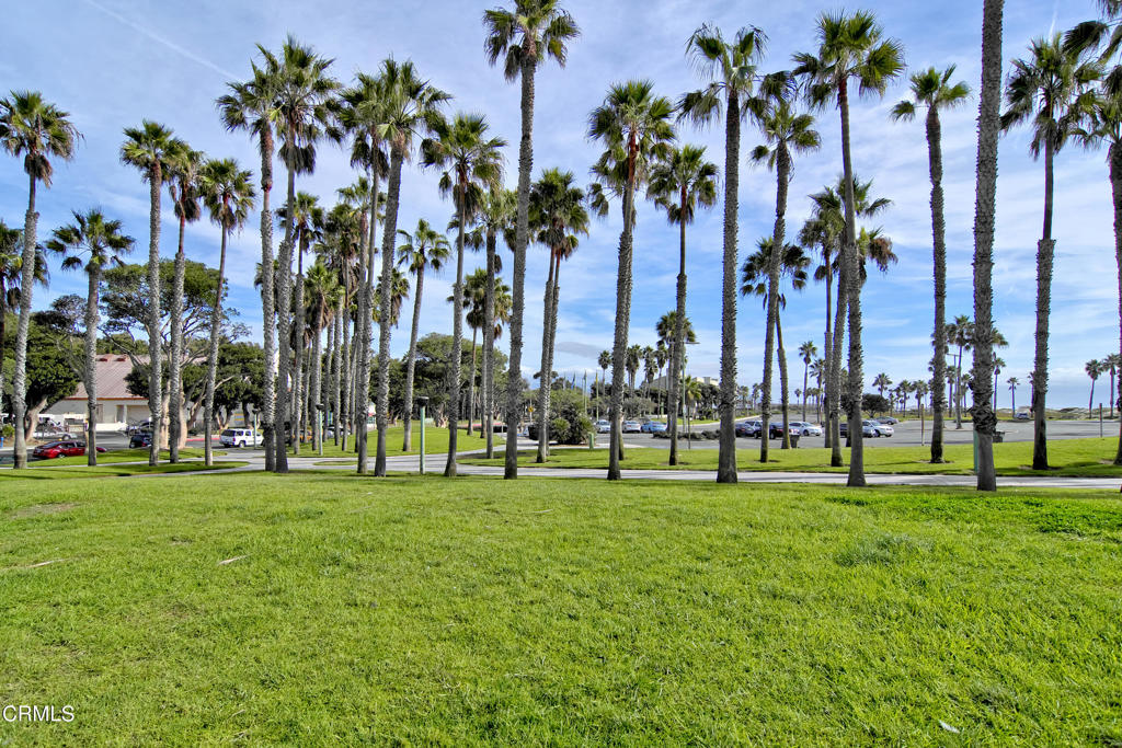 5431 Perkins Road Oxnard, CA 93033 - Photo 34 of 40 a view of a park with palm trees