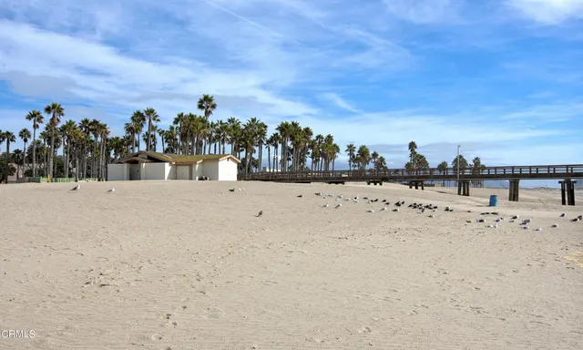 a view of a pathway with a garden
