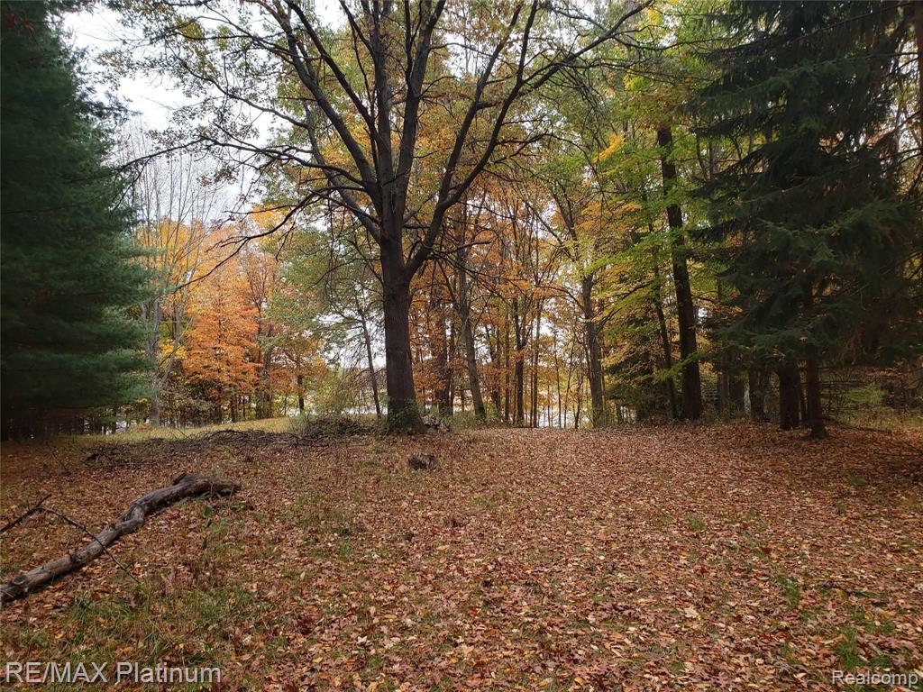 2 Wiggins Road Howell, MI 48855 - Photo 9 of 21