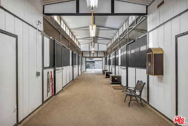 a view of a yard with large trees