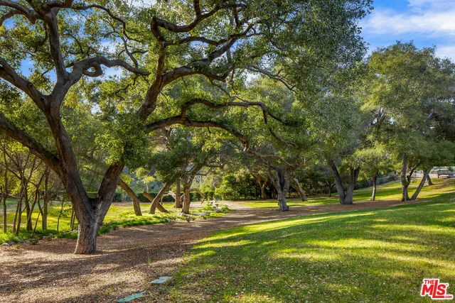 a huge green field with lots of trees