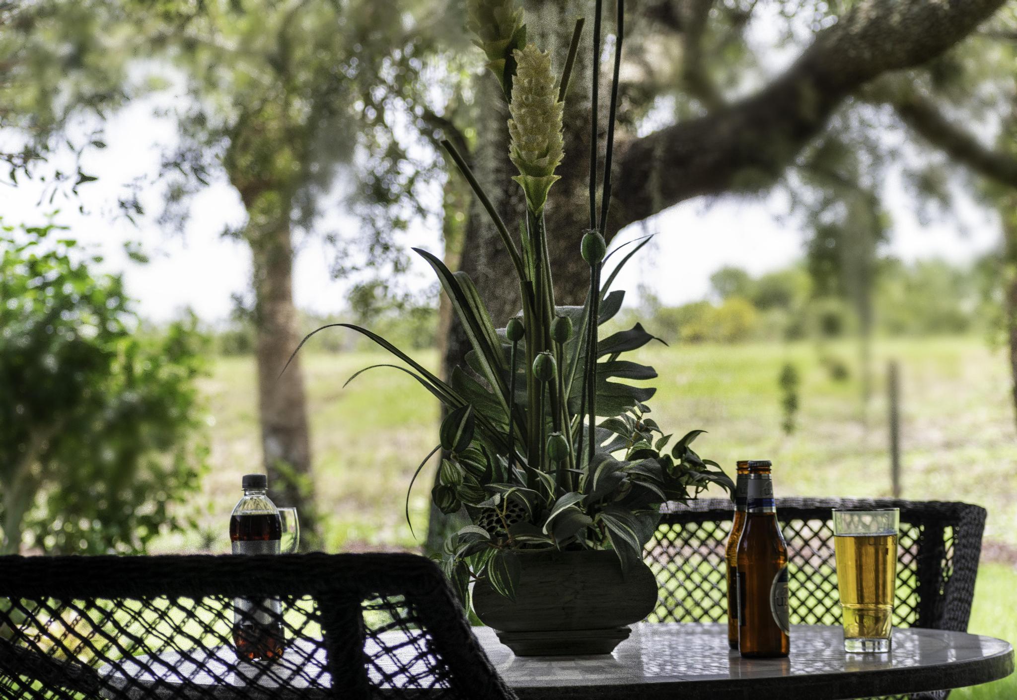 511 Northwest Red Pine Way Jensen Beach, FL 34957 - Photo 30 of 67 DSC_0042-Edit