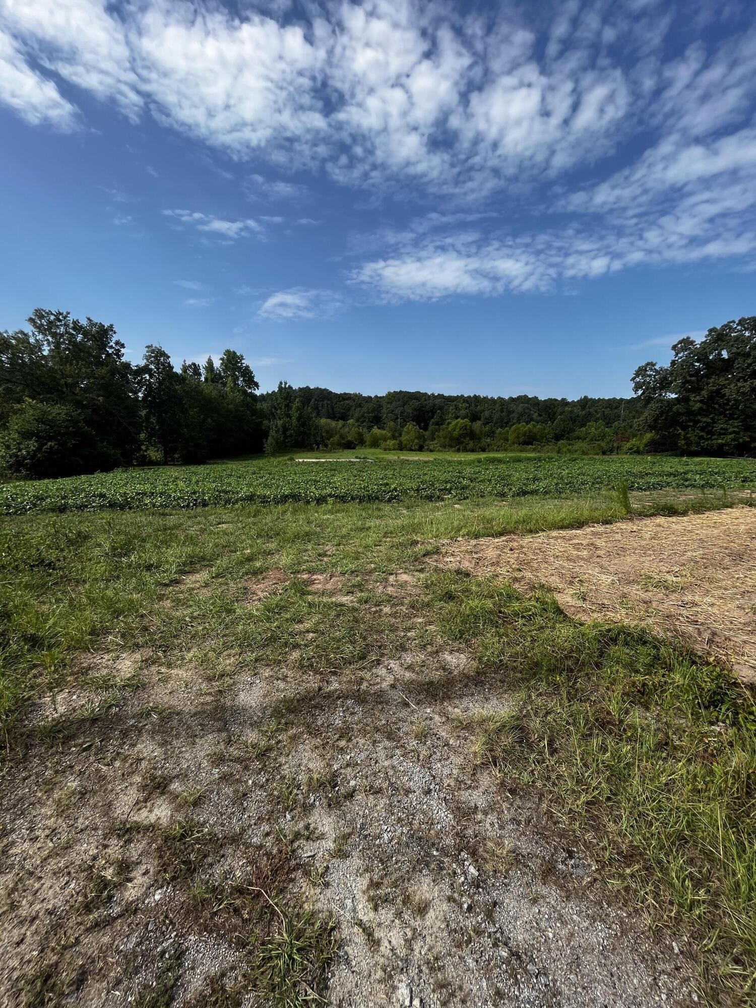 3704 Mitchner Road Dearing, GA 30808 - Photo 1 of 3 IMG_8519