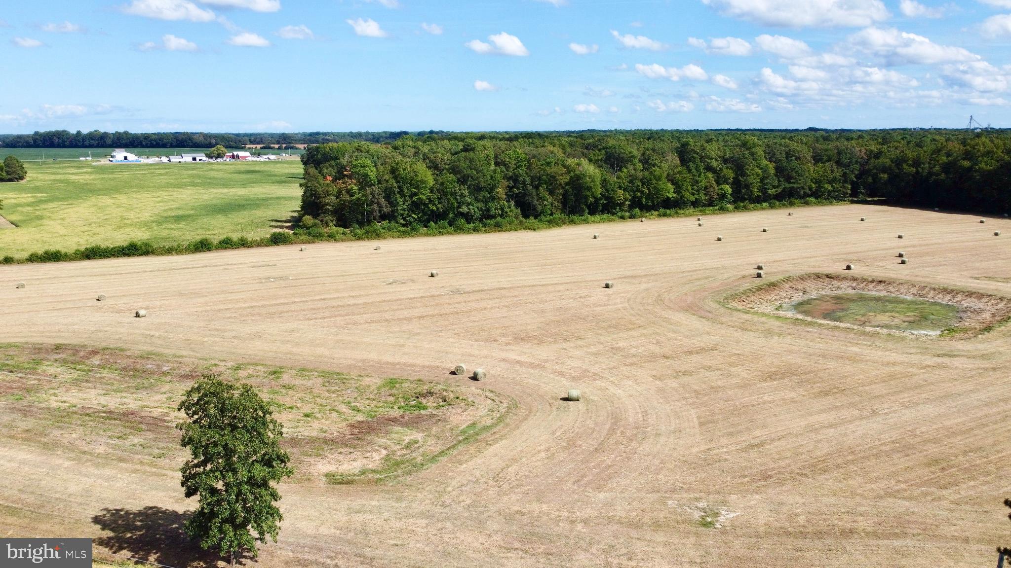 Hopkins Cemetery Road Harrington, DE 19952 - Photo 5 of 12 a view of an ocean beach