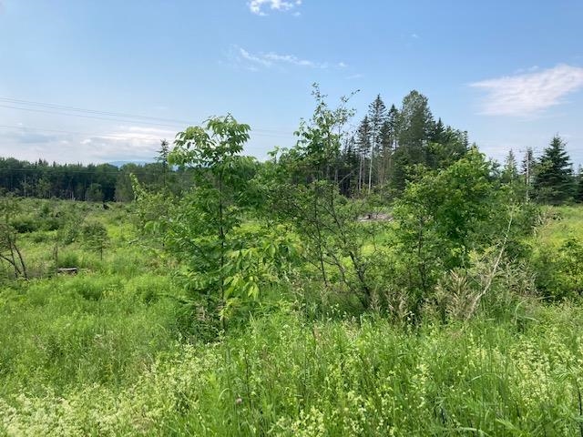 Lot 34 East Colebrook Road Colebrook, NH 03576 - Photo 3 of 3