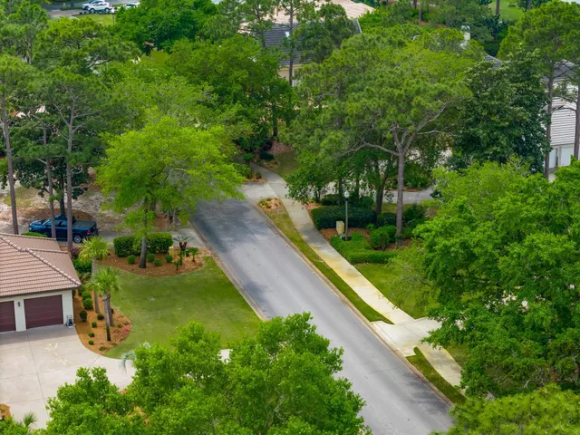 a view of a park with large trees