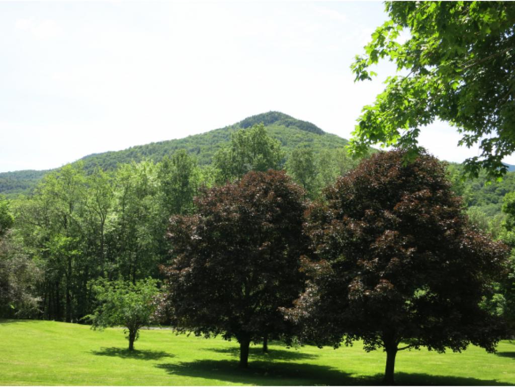 131 Green Mountain Road Bolton, VT 05676 - Photo 15 of 17 Gallery Image 15