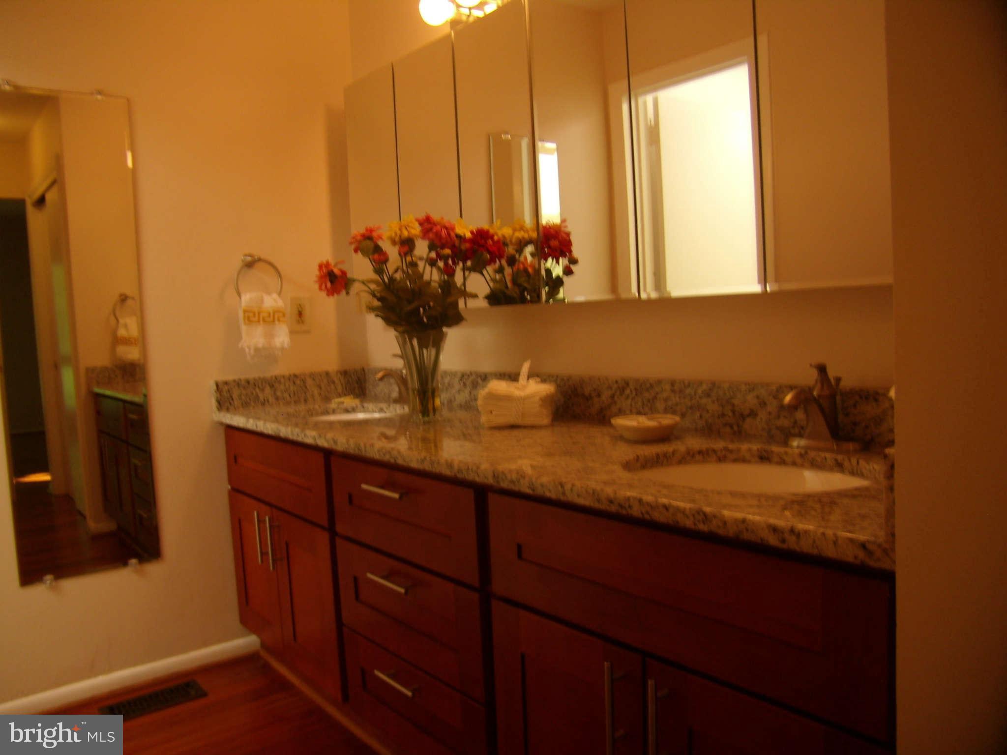 1437 Aldenham Lane Reston, VA 20190 - Photo 13 of 16 Bath (Master)