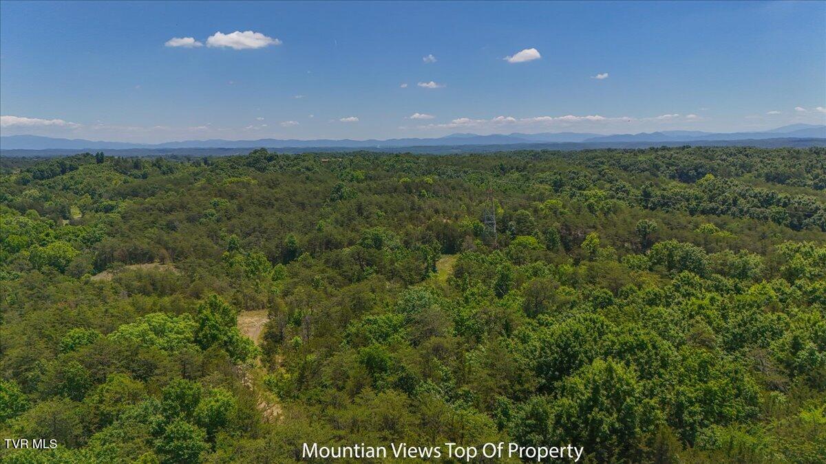 5441 Fred Marshall Road Russellville, TN 37860 - Photo 10 of 20 17-DJI_20260604134432_0932_D2