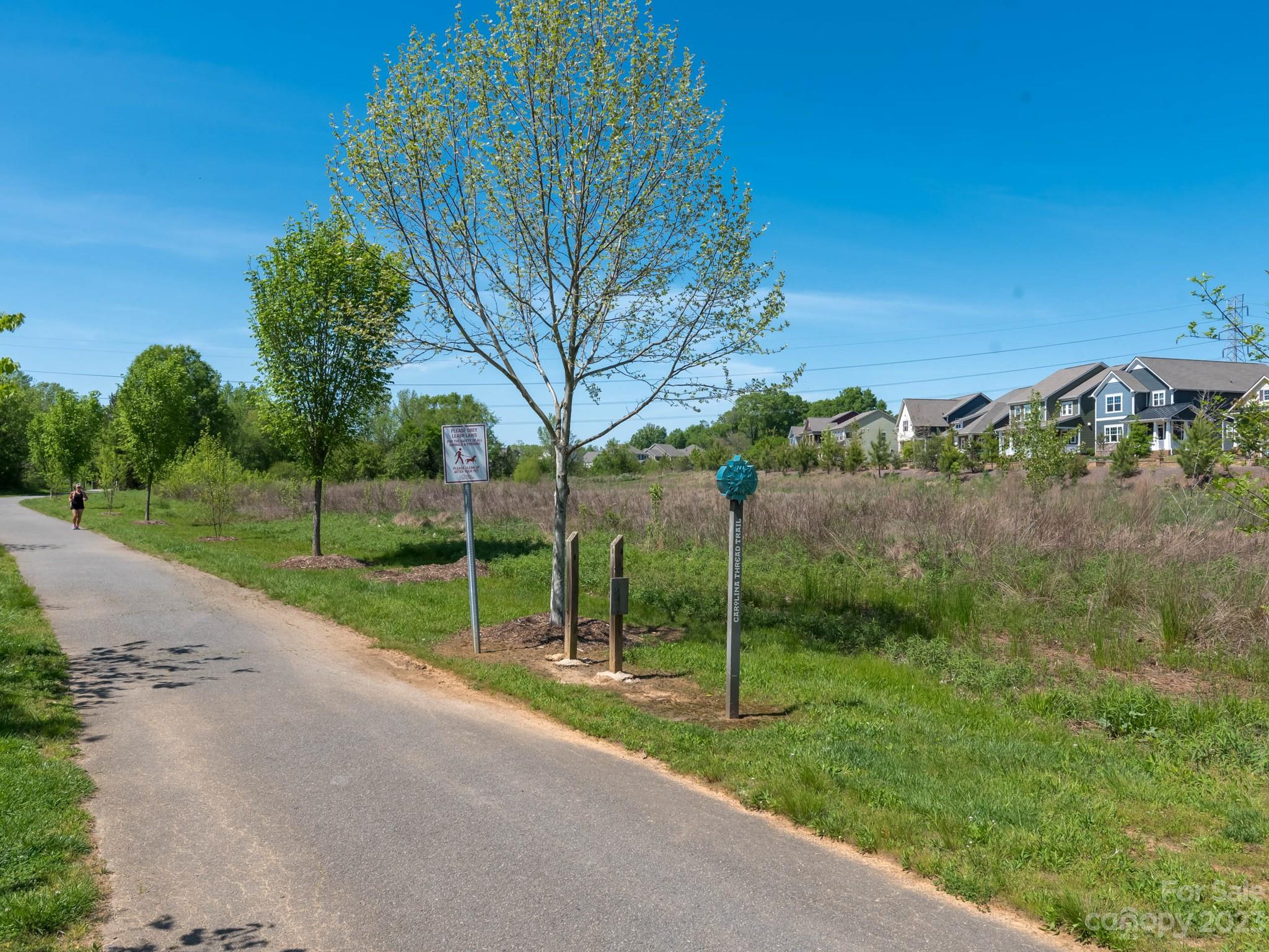 413 Hudson Place Davidson, NC 28036 - Photo 37 of 38 a view of a backyard