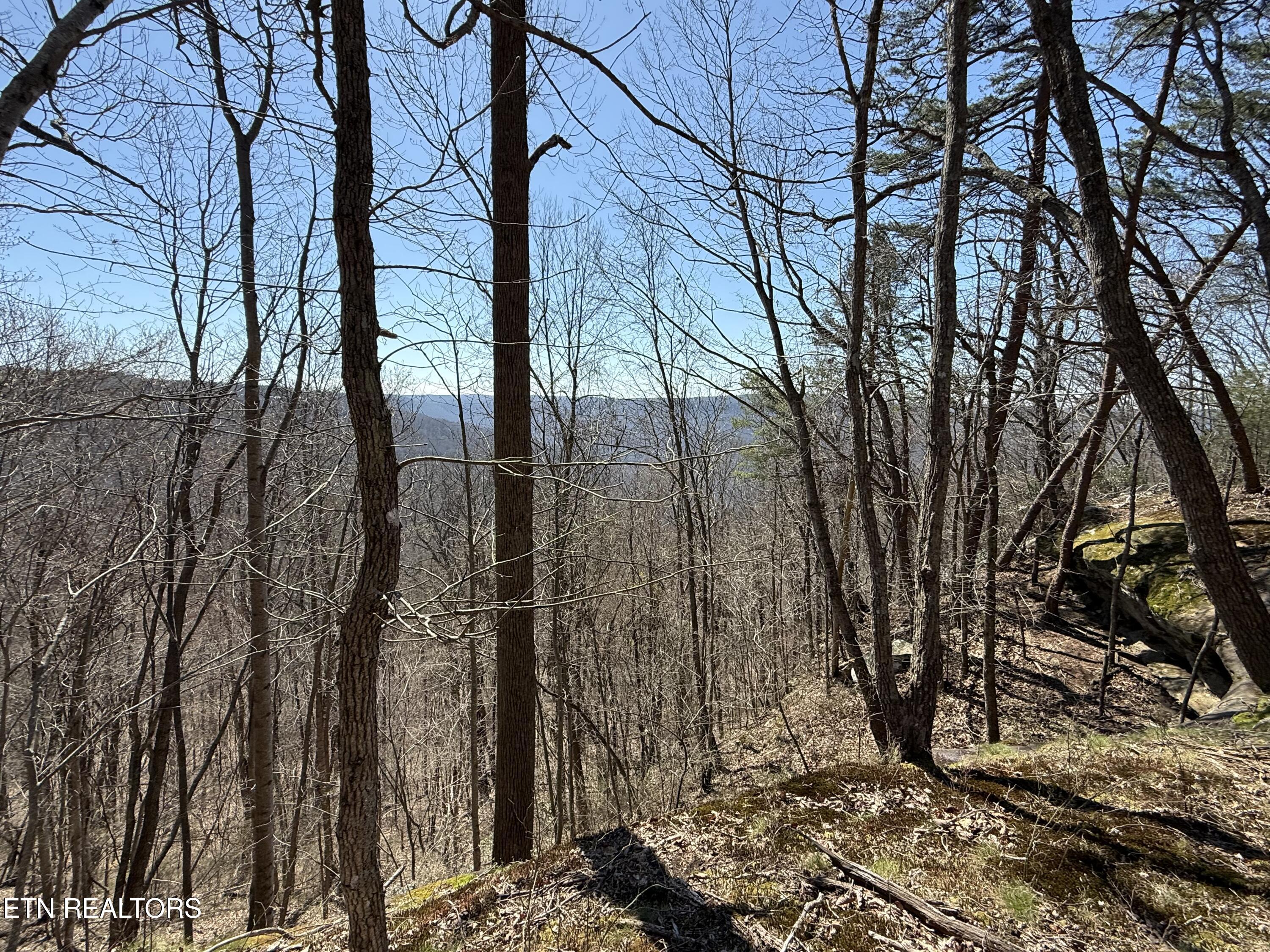 East Cove Road Monterey, TN 38574 - Photo 2 of 6 IMG_1717