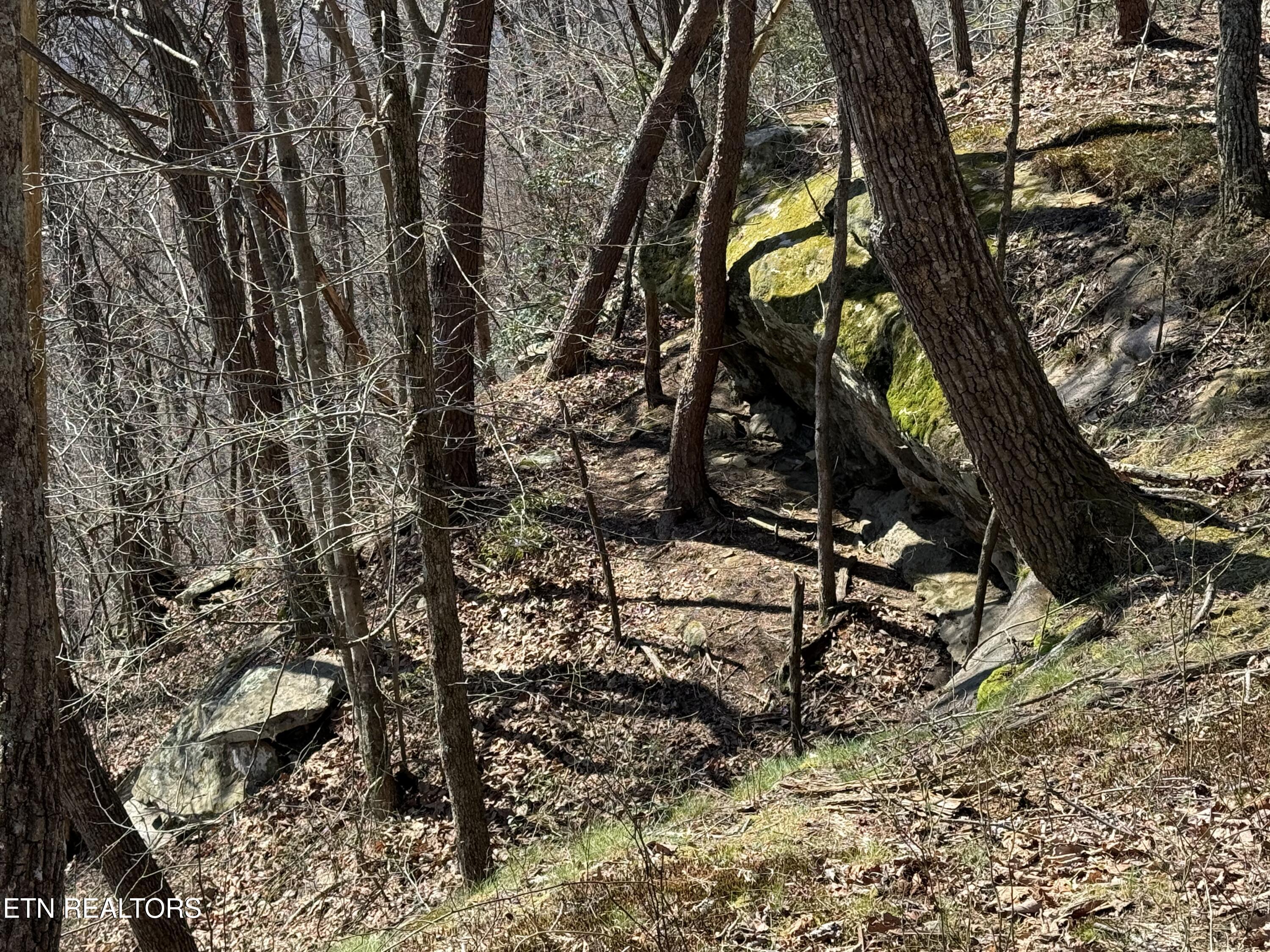 East Cove Road Monterey, TN 38574 - Photo 3 of 6 IMG_1716