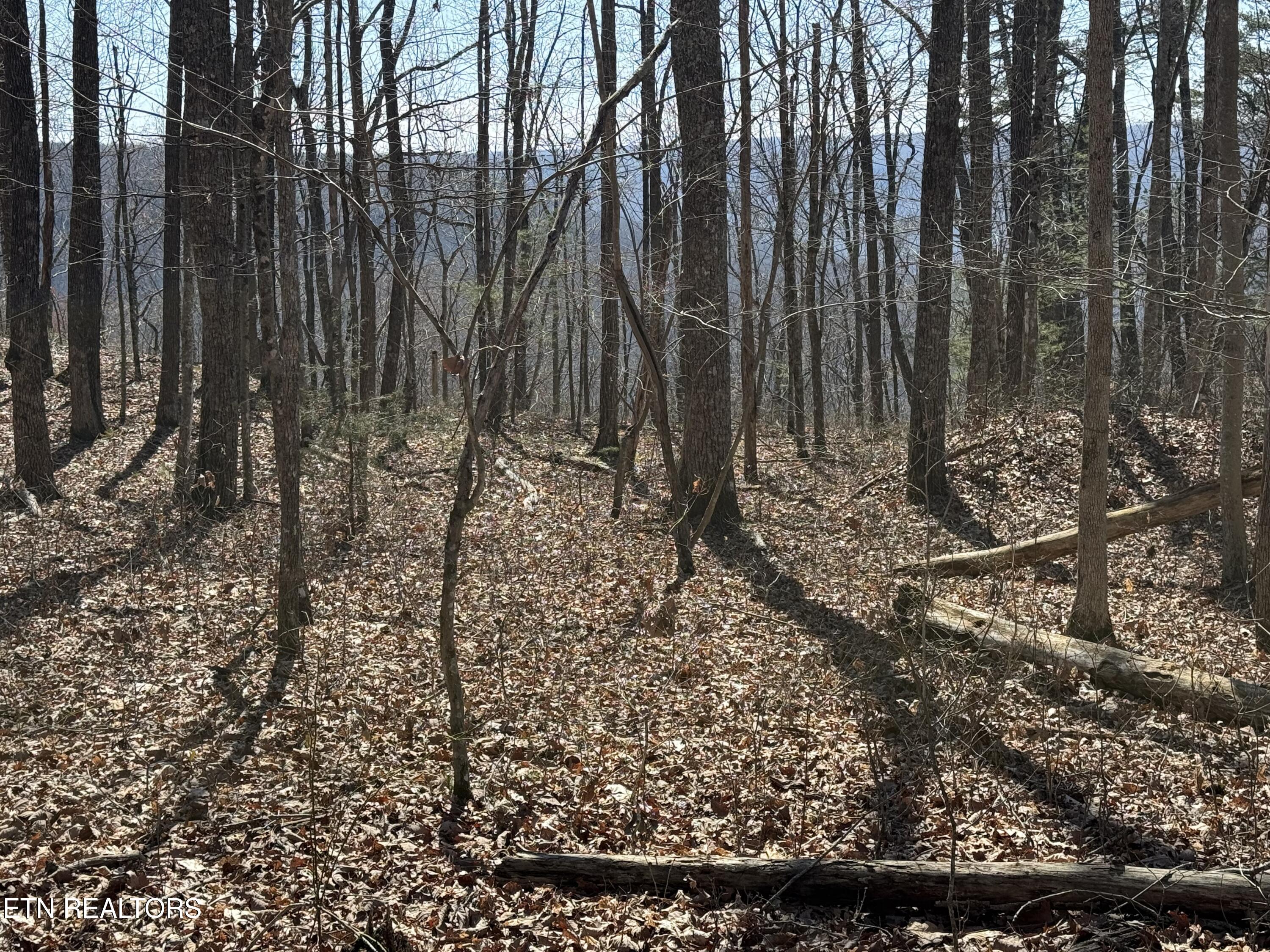 East Cove Road Monterey, TN 38574 - Photo 4 of 6 IMG_1714