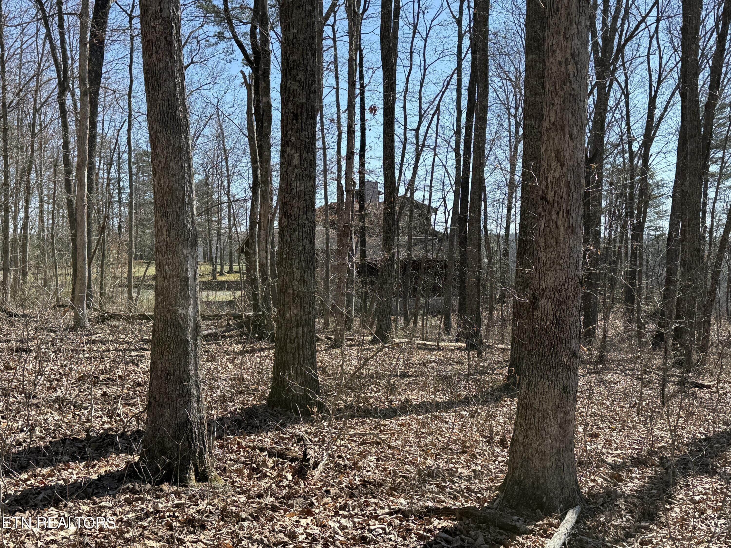 East Cove Road Monterey, TN 38574 - Photo 5 of 6 IMG_1713