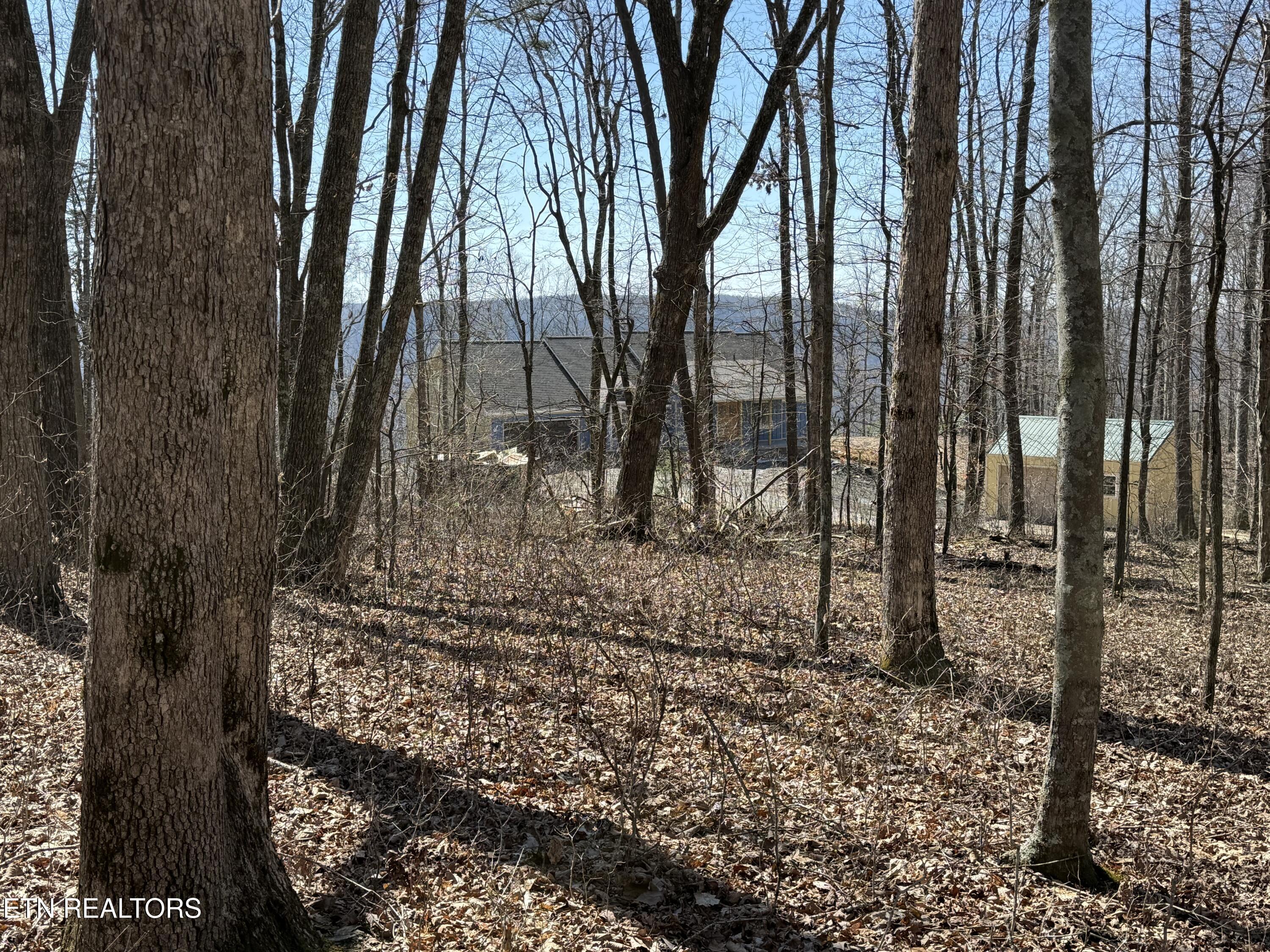 East Cove Road Monterey, TN 38574 - Photo 6 of 6 IMG_1712