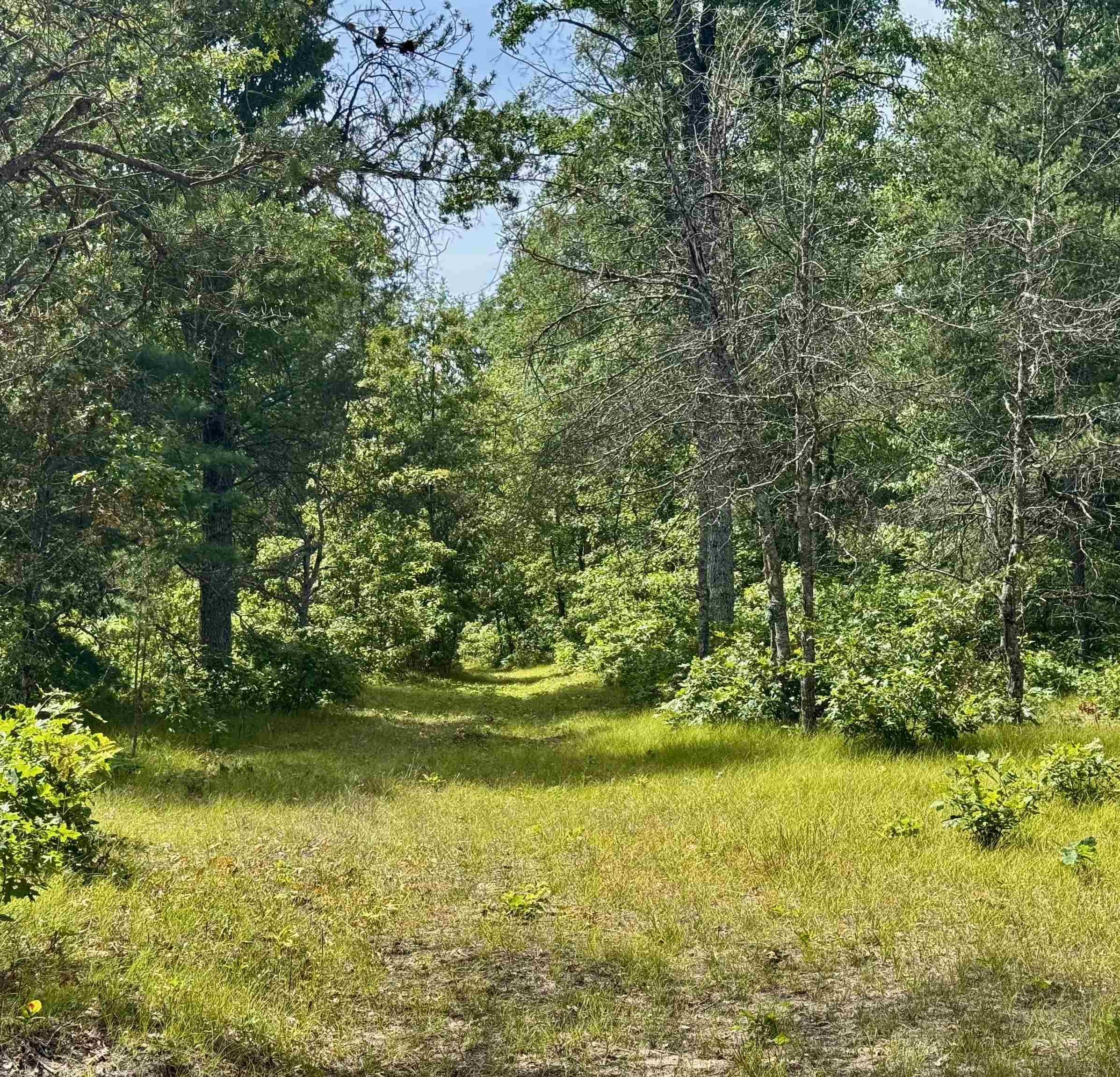 4105 North Strawberry Road Harrison, MI 48625 - Photo 32 of 63