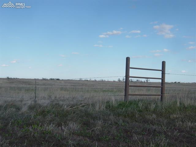 0 North Rush Road Rush, CO 80833 - Photo 4 of 10