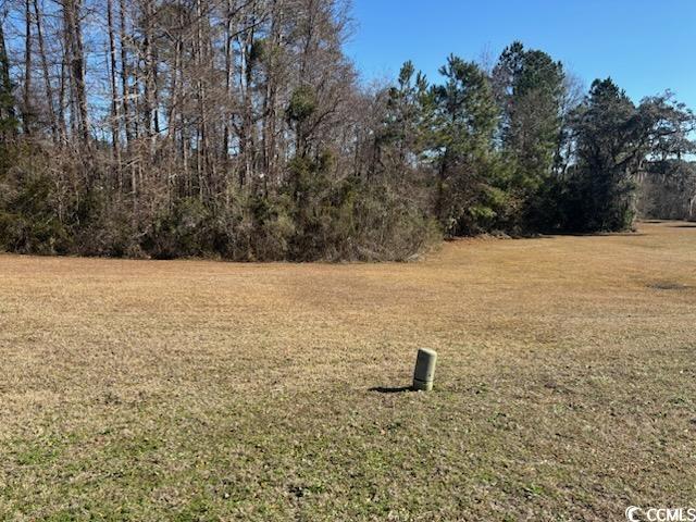 655 Millbrook Road Georgetown, SC 29440 - Photo 2 of 21 View of yard